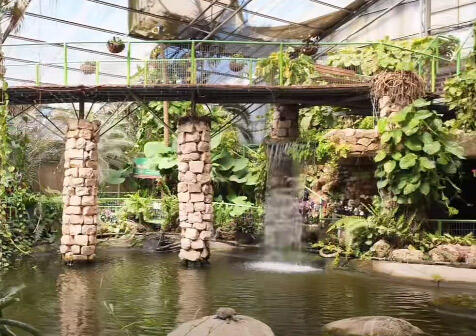 Utopia Park